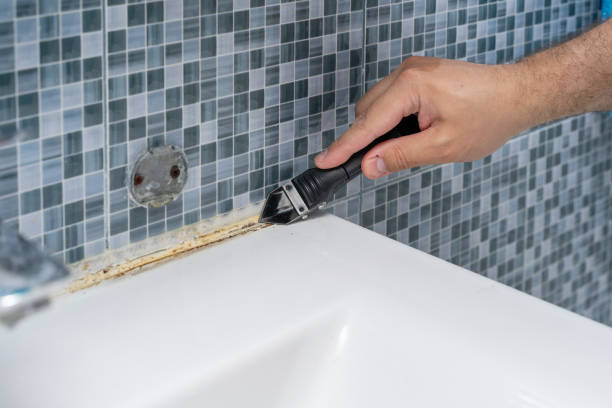 Professional Mold Removal in North Lakeville, MA